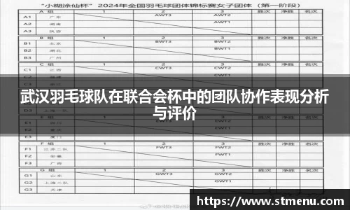 武汉羽毛球队在联合会杯中的团队协作表现分析与评价